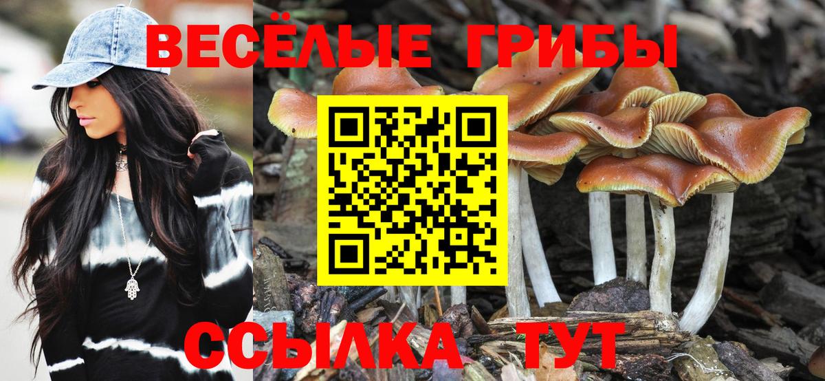 Нововоронеж  Псилоцибиновые грибы ЛСД  Вход с VPN 