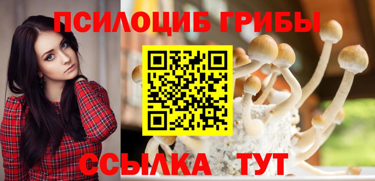 Галлюциногенные грибы Cubensis Нововоронеж
