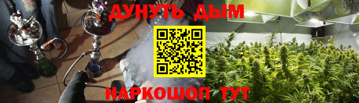 Нововоронеж  Бошки марихуана LSD WEED  МАРИХУАНА SATIVA & INDICA  Вход с VPN 